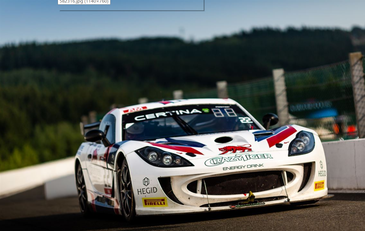 GINETTA G55 GT4 V.2019