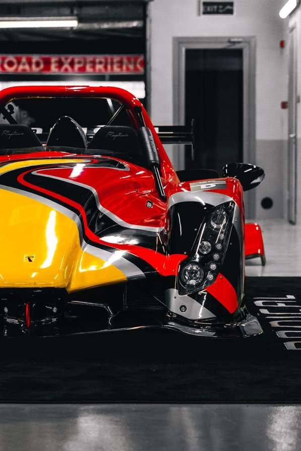 2019 Radical Rapture, 原厂特别涂装