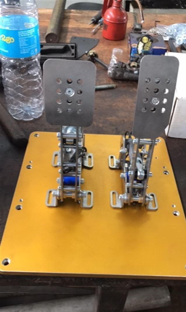 Professional F1 Motion模拟器