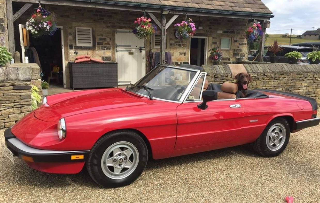 阿尔法罗密欧2.0L SPIDER VELOCE 1985 LHD