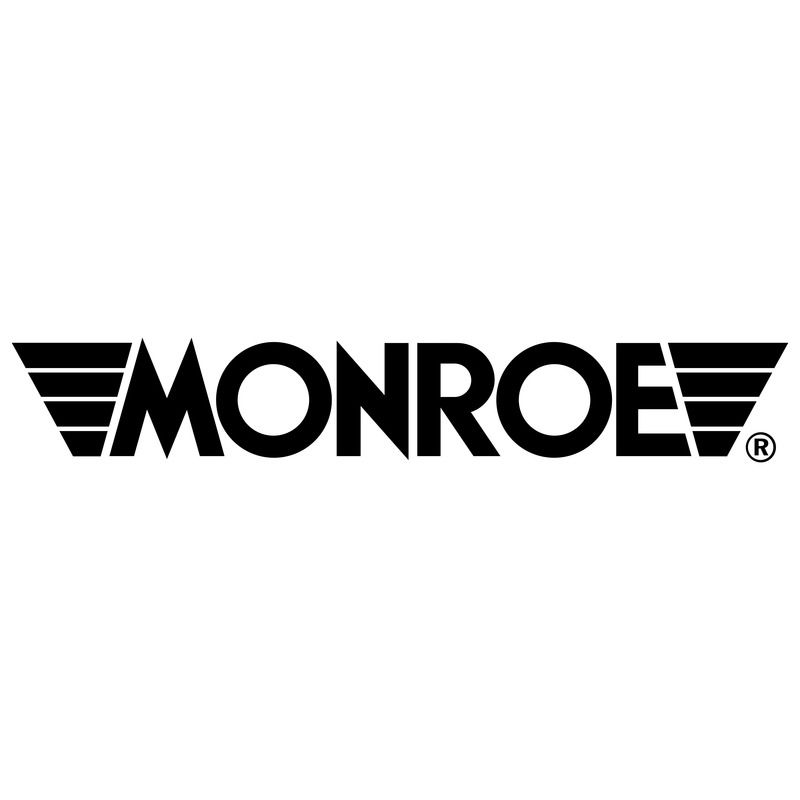 Monroe Motorsport Suspensions